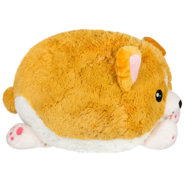 Squishable: Baby Corgi Toys & Plushes Squishable