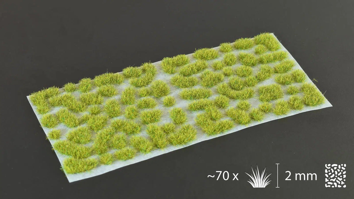 Gamer's Grass: Moss 2mm Wild Basing Materials Gamer's Grass