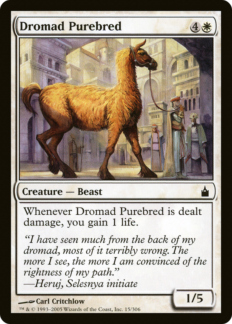 Dromad Purebred (RAV-015) [Ravnica: City of Guilds] Foil MTG Single Wizards of the Coast