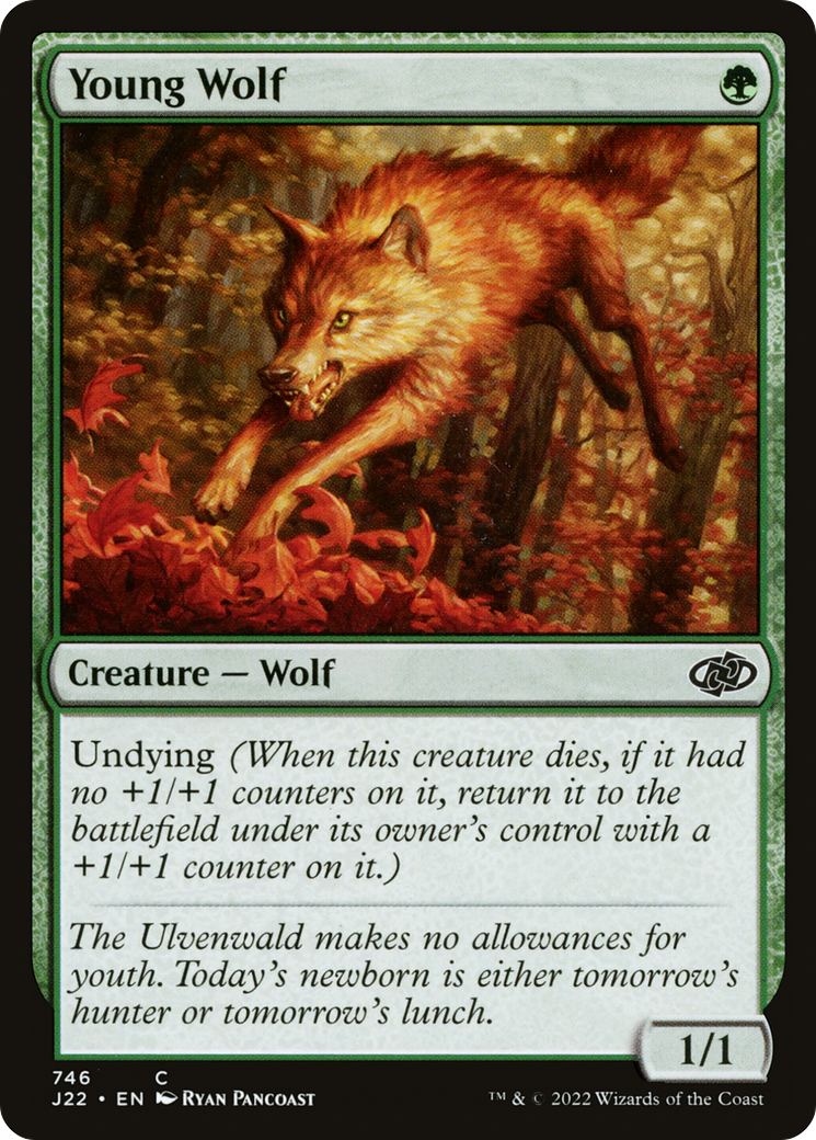 Young Wolf (J22-746) [Jumpstart 2022] MTG Single Wizards of the Coast