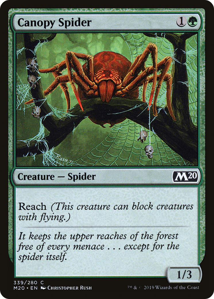 Canopy Spider (M20-339) [Core Set 2020] MTG Single Wizards of the Coast