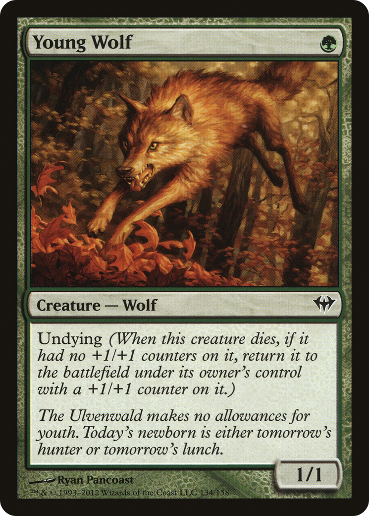 Young Wolf (DKA-134) [Dark Ascension] Foil MTG Single Wizards of the Coast