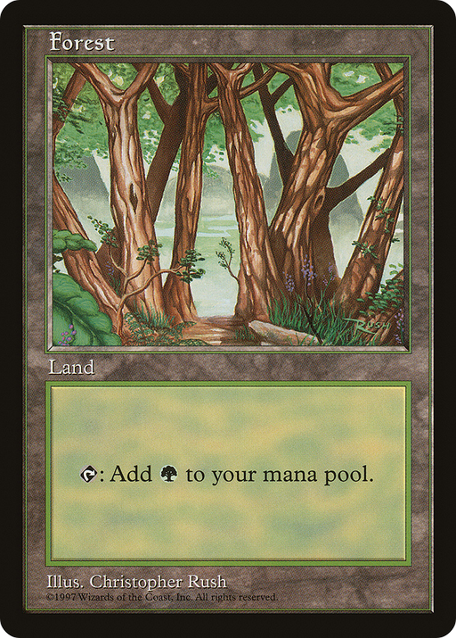 Forest - Blue Pack (Rush) (APAC-) [Misc] Asia Pacific Land Program MTG Single Wizards of the Coast