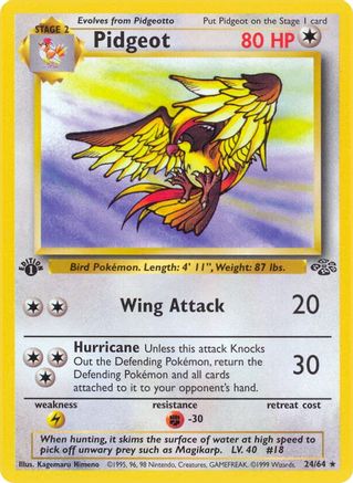 Pidgeot (24/64) 1st Edition [Vintage: Jungle] Pokemon Single Pokémon