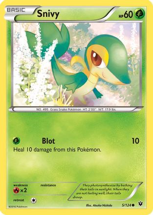 Snivy (5/124) Reverse Holofoil [XY: Fates Collide] Pokemon Single Pokémon