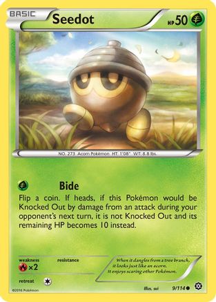 Seedot (9/114) Reverse Holofoil [XY: Steam Siege] Pokemon Single Pokémon