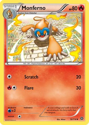 Monferno (19/114) Reverse Holofoil [XY: Steam Siege] Pokemon Single Pokémon