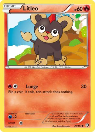 Litleo (22/114) [XY: Steam Siege] Pokemon Single Pokémon