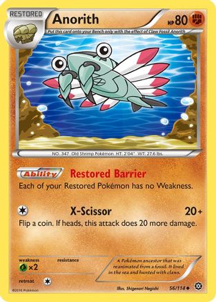 Anorith (56/114) [XY: Steam Siege] Pokemon Single Pokémon