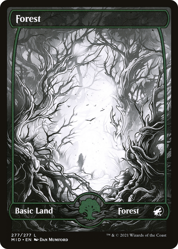 Forest (277) (MID-277) [Innistrad: Midnight Hunt] (Full Art, Showcase) MTG Single Wizards of the Coast