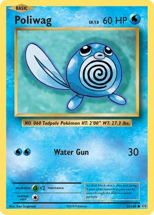 Poliwag (23/108) Reverse Holofoil [XY: Evolutions] Pokemon Single Pokémon