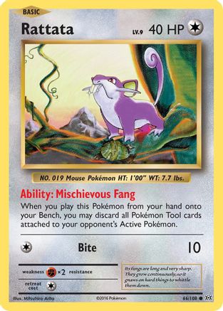 Rattata (66/108) [XY: Evolutions] Pokemon Single Pokémon
