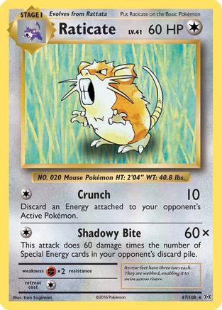 Raticate (67/108) [XY: Evolutions] Pokemon Single Pokémon