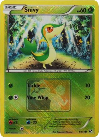 Snivy 1/114 (League Promo) Reverse Holofoil [Promos: League & Championship Cards] Pokemon Single Pokémon