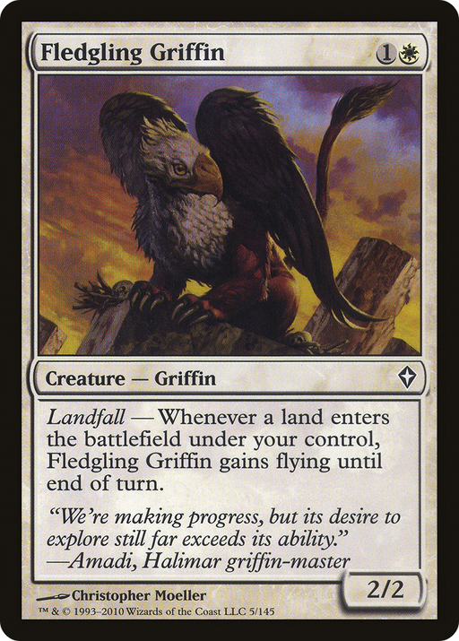 Fledgling Griffin (WWK-005) [Worldwake] MTG Single Wizards of the Coast