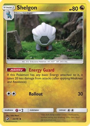 Shelgon (43/70) [SM: Dragon Majesty] Pokemon Single Pokémon