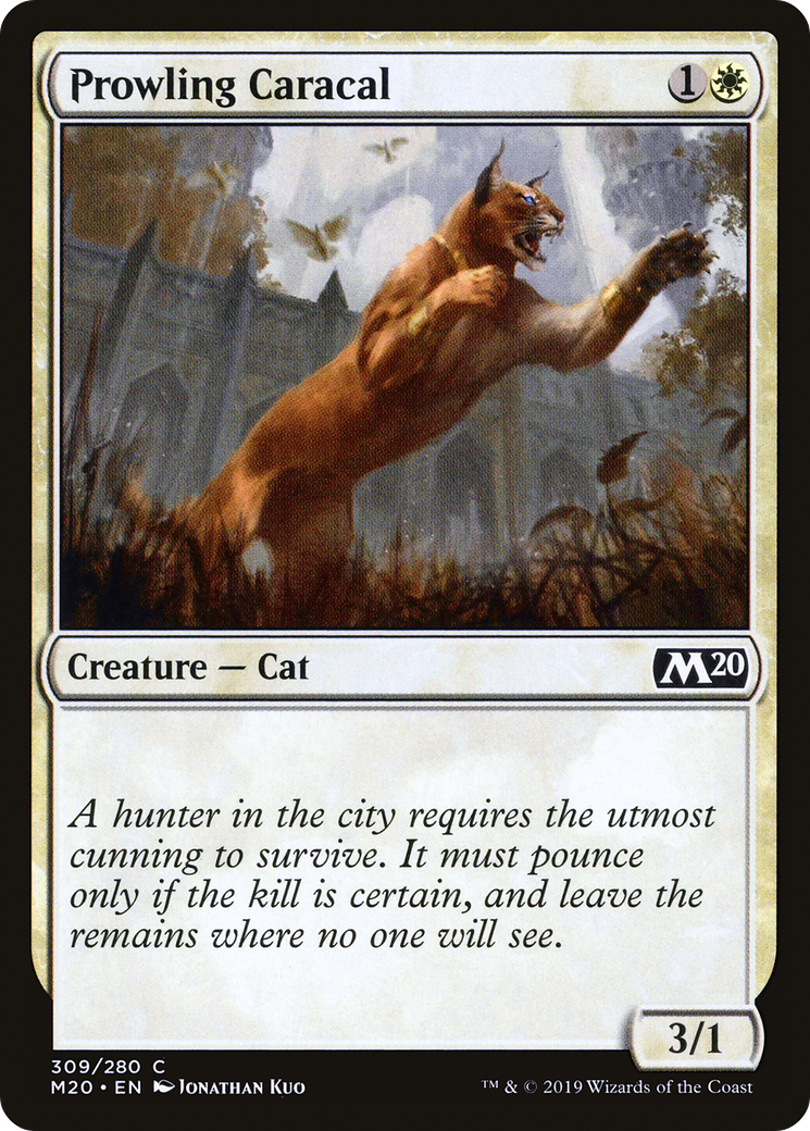 Prowling Caracal (M20-309) [Core Set 2020] MTG Single Wizards of the Coast