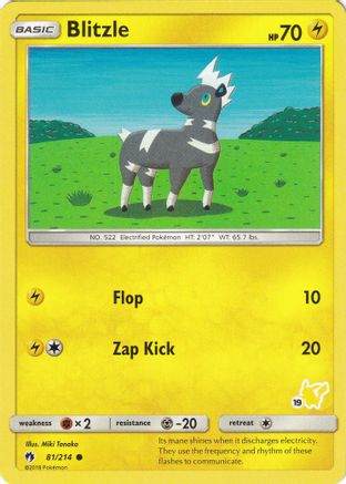 Blitzle - 81/214 (#19 Pikachu Stamped) () [Misc: Battle Academy] Pokemon Single Pokémon