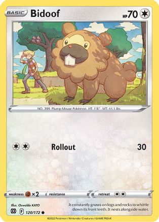 Bidoof (120/172) [SWSH: Brilliant Stars] Pokemon Single Pokémon