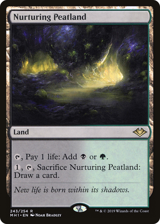 Nurturing Peatland (MH1-243) [Modern Horizons] MTG Single Modern Horizons