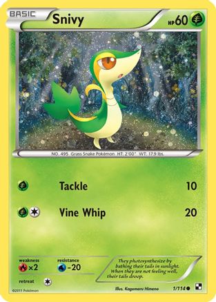 Snivy - 1/114 (Cosmos Holo) Holofoil [Misc: Cards & Products] Pokemon Single Pokémon