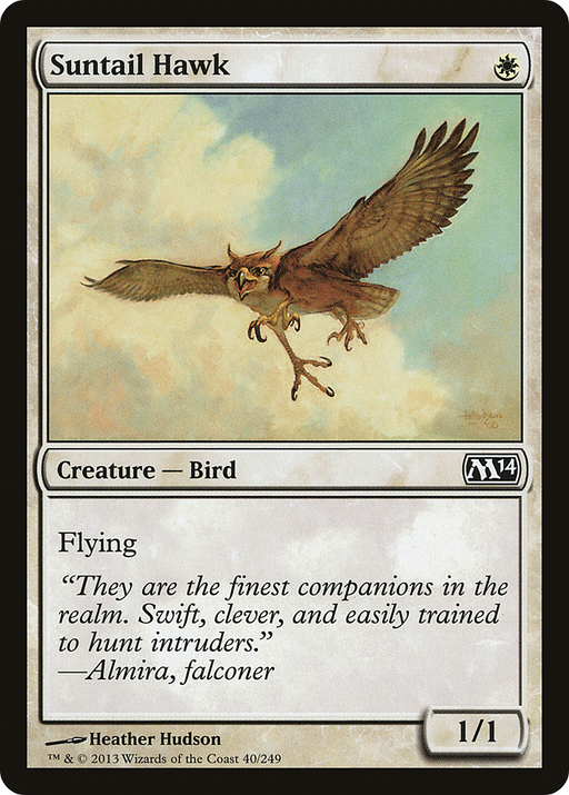 Suntail Hawk (M14-040) [Magic 2014] MTG Single Wizards of the Coast
