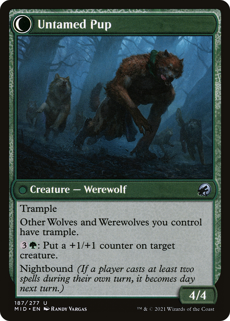 Hound Tamer (MID-187) [Innistrad: Midnight Hunt] Foil MTG Single Wizards of the Coast