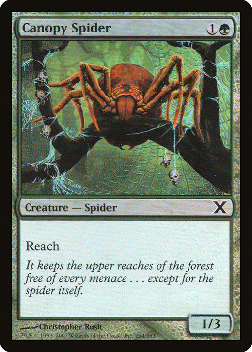Canopy Spider (10E-254★) [Tenth Edition] Foil MTG Single Wizards of the Coast