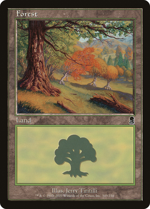 Forest (349) (ODY-349) [Odyssey] MTG Single Wizards of the Coast