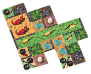 Chomp Board Games Allplay
