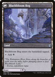 Blackbloom Rogue // Blackbloom Bog (ZNR-091) [Zendikar Rising] Foil MTG Single Wizards of the Coast