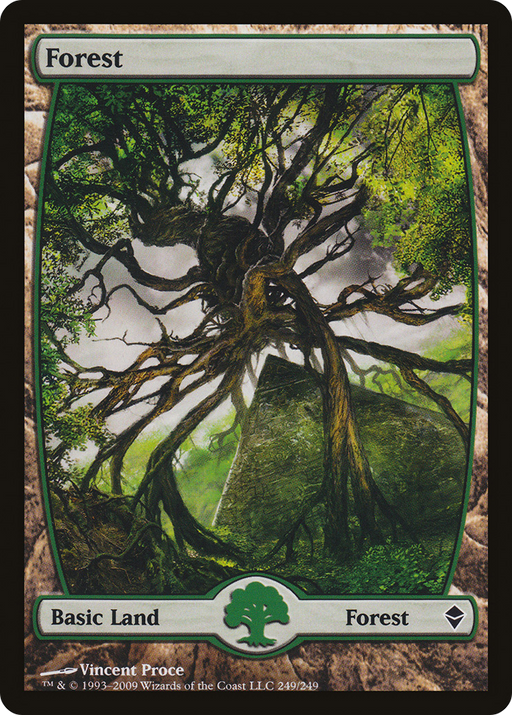 Forest (ZEN-249) [Zendikar] MTG Single Wizards of the Coast
