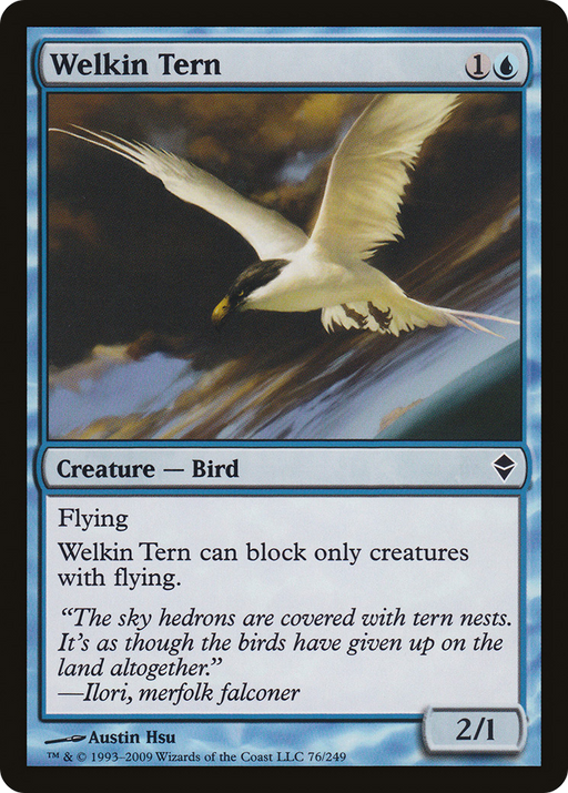Welkin Tern (ZEN-076) [Zendikar] MTG Single Wizards of the Coast