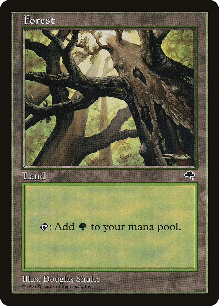 Forest (Skyward) (TMP-347) [Tempest] MTG Single Wizards of the Coast