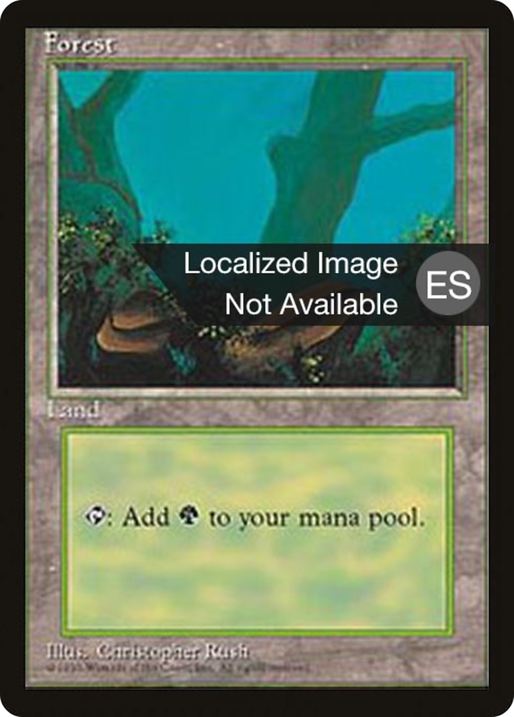 Forest (4BB-376) [Fourth Edition Foreign Black Border] MTG Single Wizards of the Coast