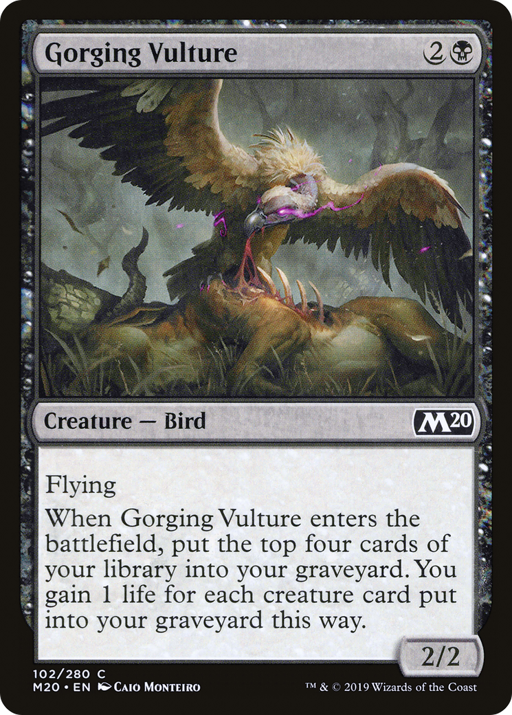 Gorging Vulture (M20-102) [Core Set 2020] Foil MTG Single Wizards of the Coast