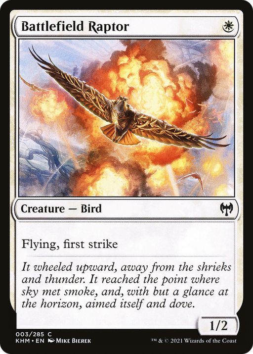Battlefield Raptor (KHM-003) [Kaldheim] Foil MTG Single Wizards of the Coast