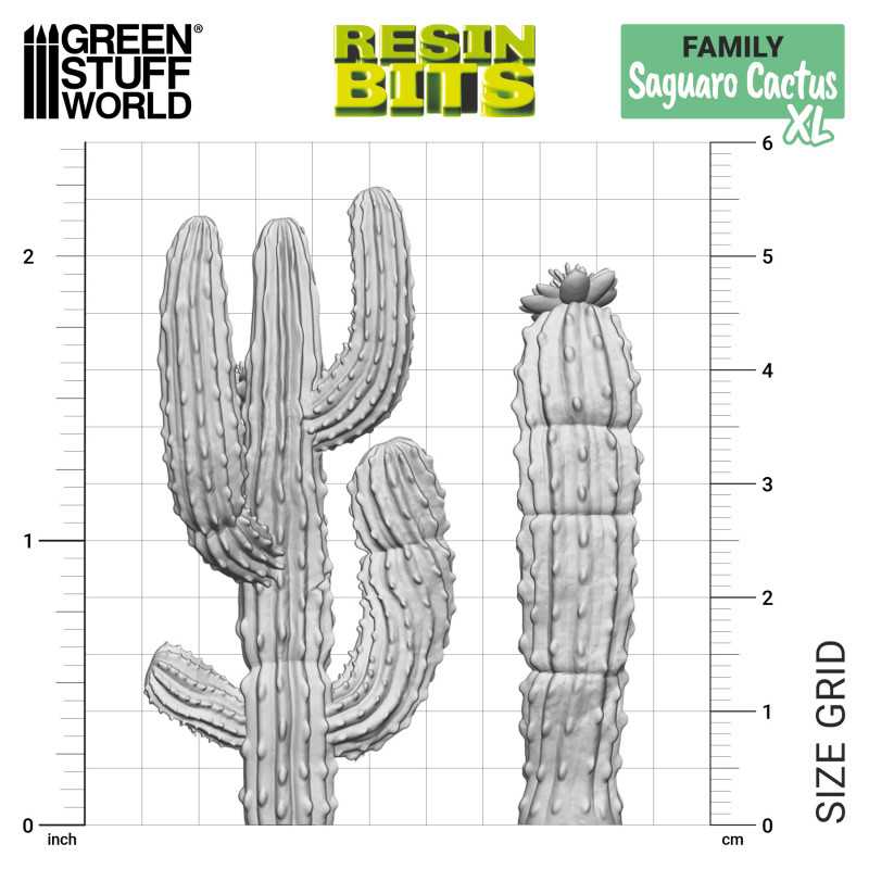 Green Stuff World: 3D printed set - Saguaro Cactus XL Model Tools & Glue Green Stuff World
