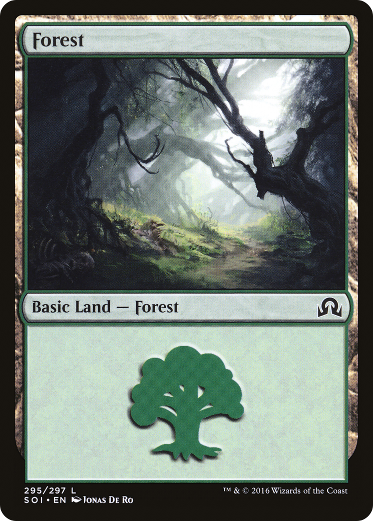 Forest (295) (SOI-295) [Shadows over Innistrad] MTG Single Wizards of the Coast