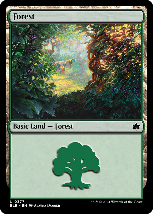 Forest (0377) (BLB-377) [Bloomburrow] Foil MTG Single Wizards of the Coast