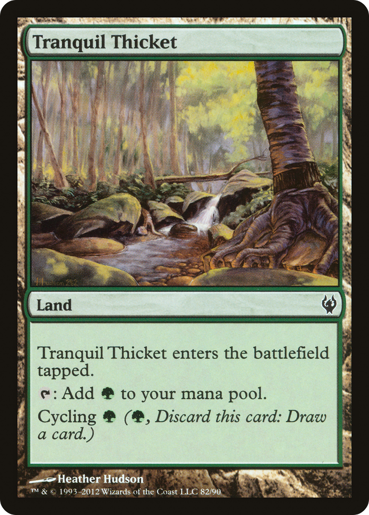 Tranquil Thicket (DDJ-082) [Misc] Duel Decks: Izzet vs. Golgari MTG Single Wizards of the Coast