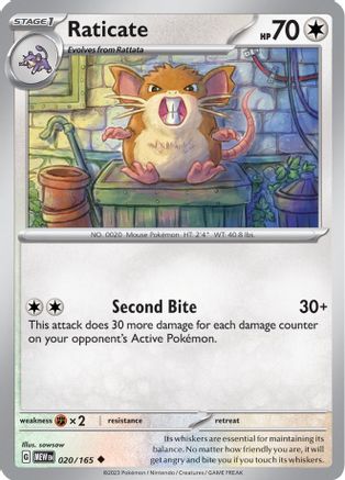 Raticate (20) Reverse Holofoil [SV: Scarlet & Violet 151] Pokemon Single Pokémon
