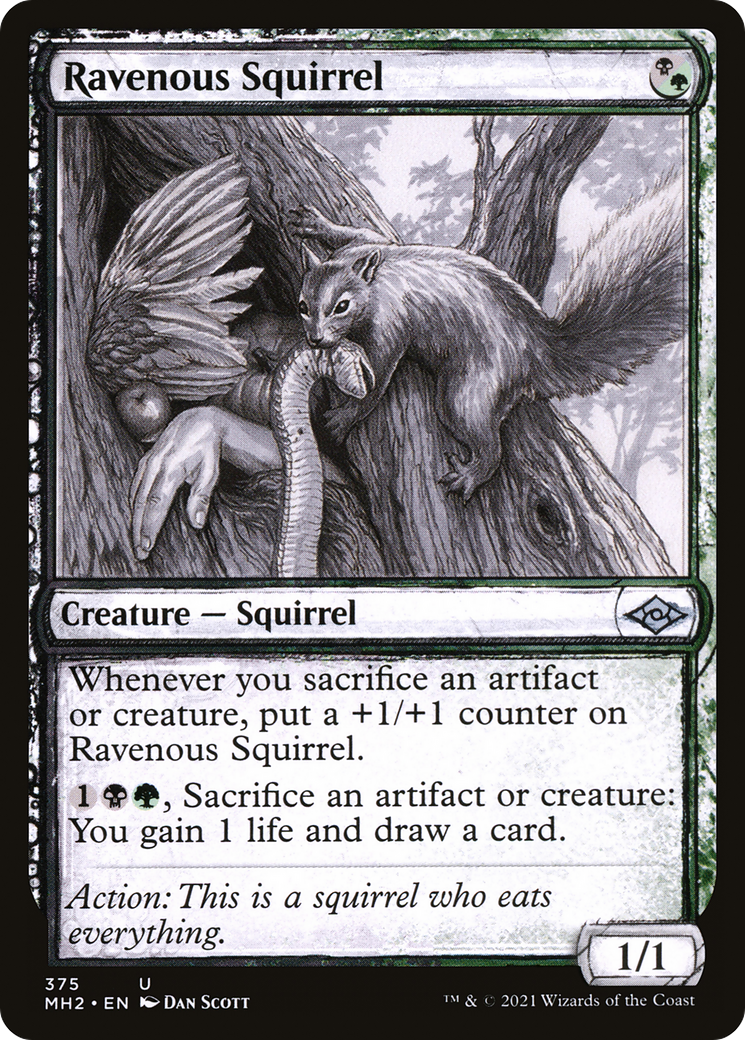Ravenous Squirrel (MH2-375) [Modern Horizons 2] (Showcase) MTG Single Modern Horizons 2