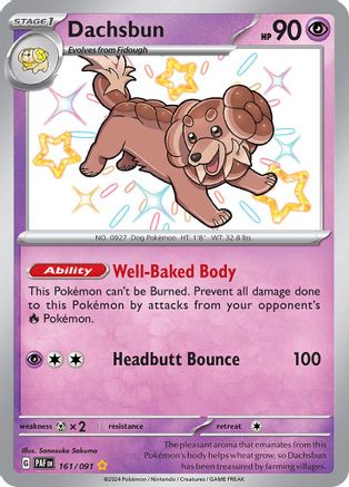 Dachsbun - 161/091 Holofoil [SV: Paldean Fates] Pokemon Single Pokémon