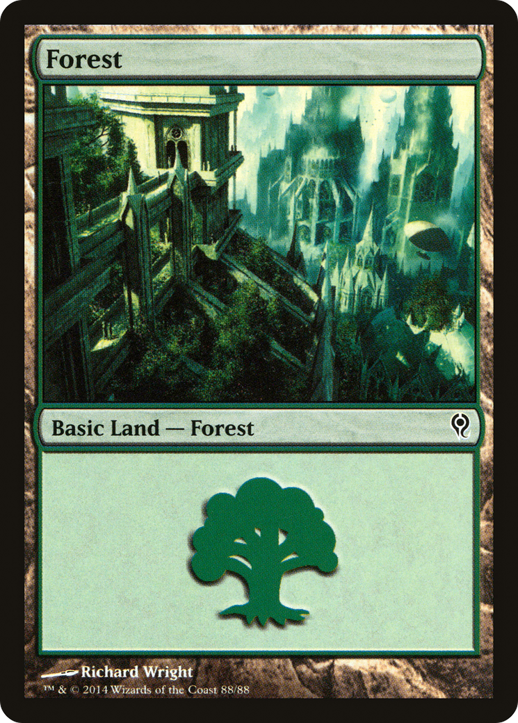 Forest (DDM-088) [Misc] Duel Decks: Jace vs. Vraska MTG Single Wizards of the Coast