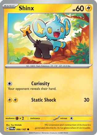 Shinx (66) [SV: Twilight Masquerade] Pokemon Single Pokémon