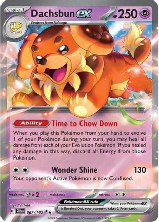 Dachsbun ex - 067/142 Holofoil [SV: Stellar Crown] Pokemon Single Pokémon
