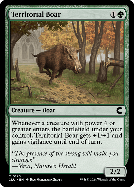 Territorial Boar (CLU-175) [Ravnica: Clue Edition] MTG Single Wizards of the Coast