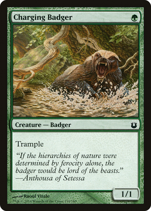 Charging Badger (BNG-118) [Born of the Gods] MTG Single Wizards of the Coast