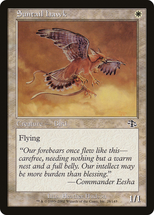 Suntail Hawk (JUD-028) [Judgment] MTG Single Wizards of the Coast